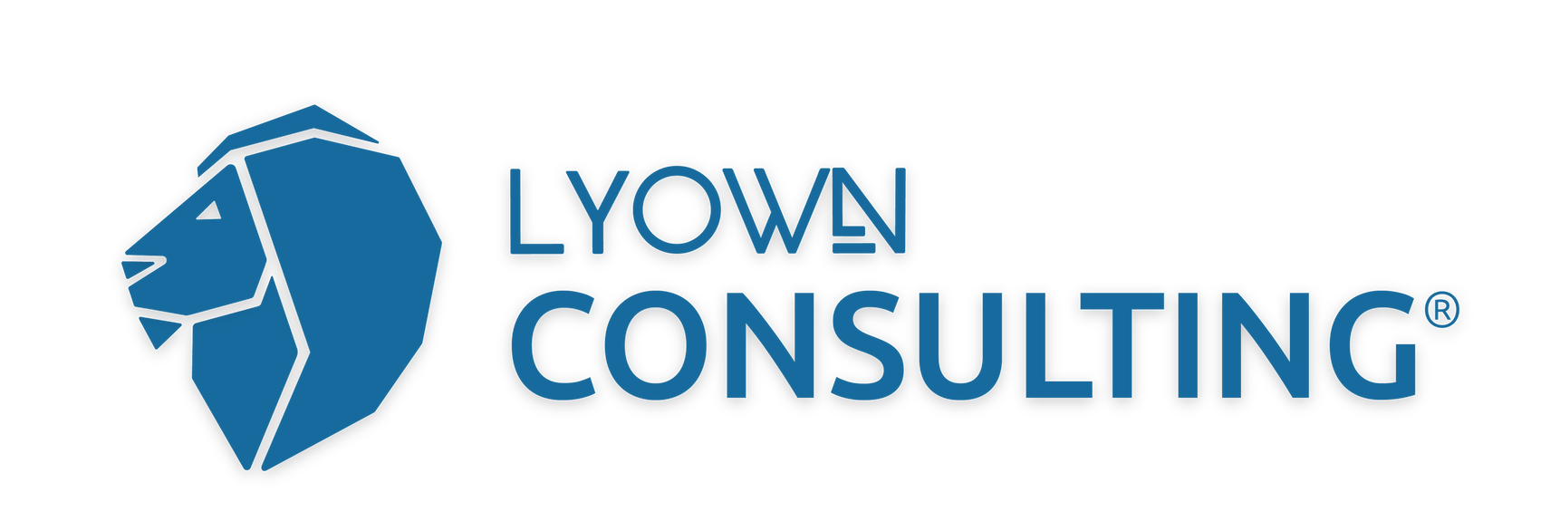 Lyown Consulting